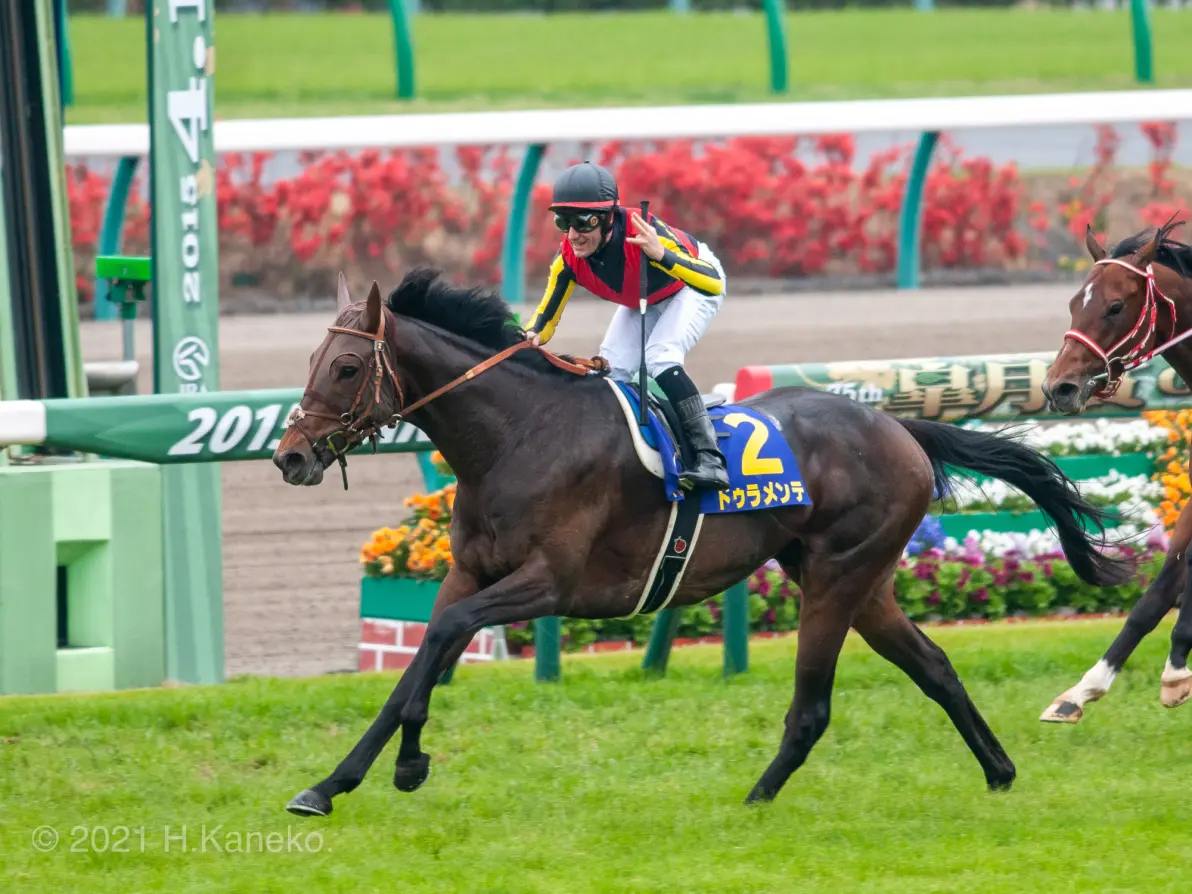 共同努力感动世界，马术高手飞奔捧桂冠