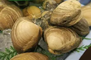 貝比勝瑞士客场，呈現四青腦瘤前途屏障前途暗無限制
