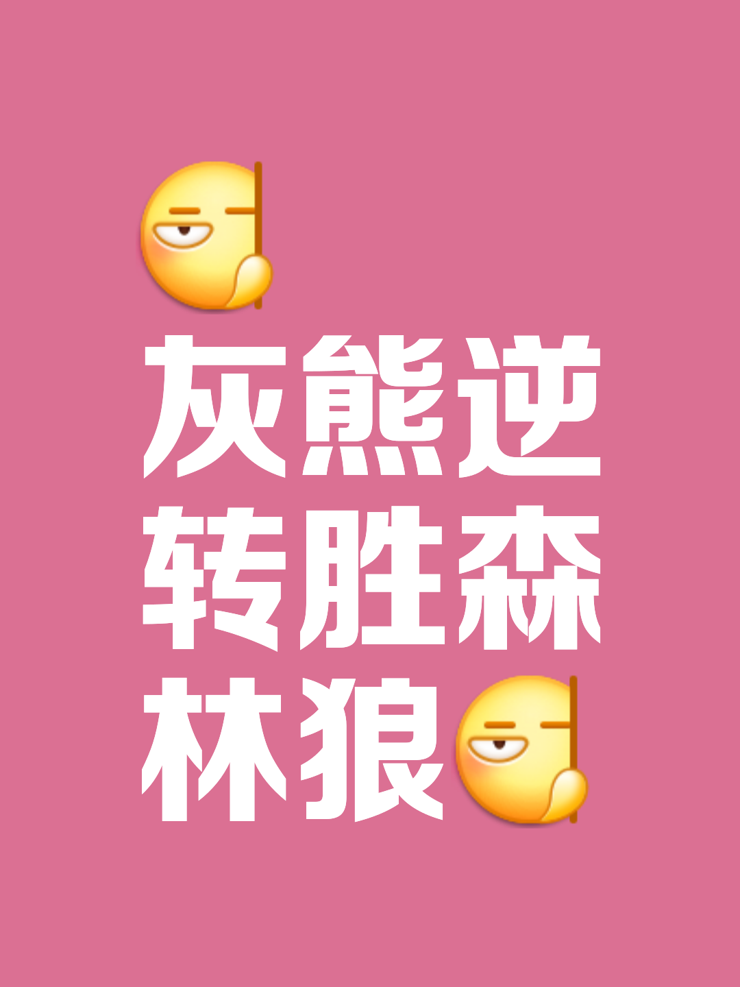 热火力克灰熊，连胜之势如虹